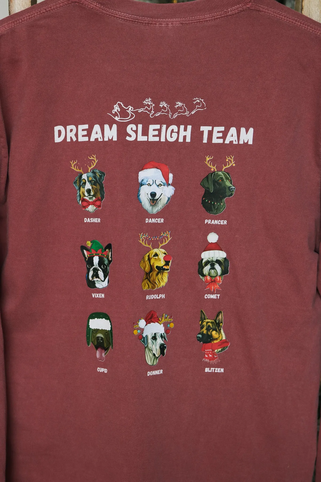 Dog Sleigh Team Short Sleeve Graphic Tee (brick)