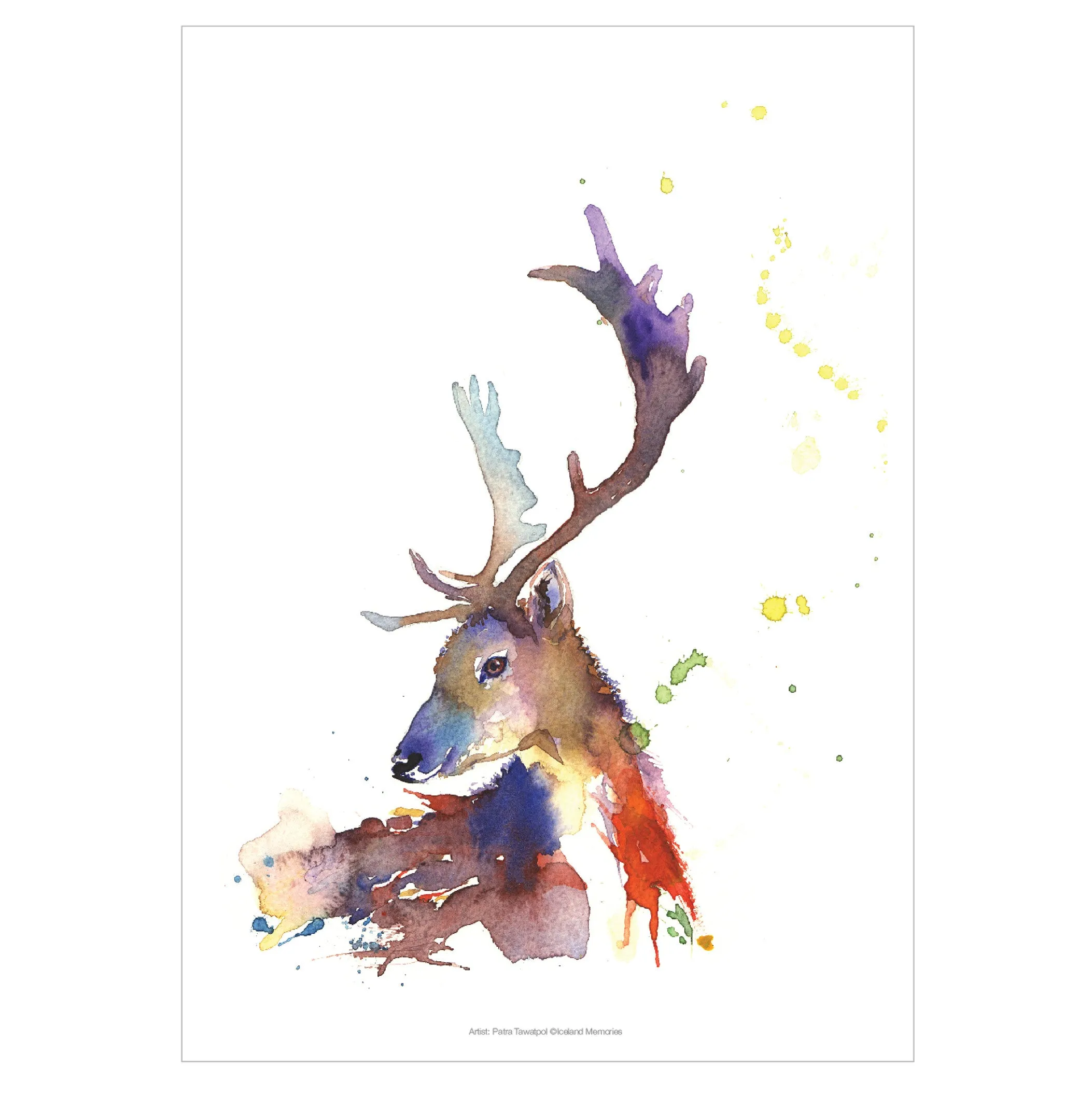 Reindeer A4