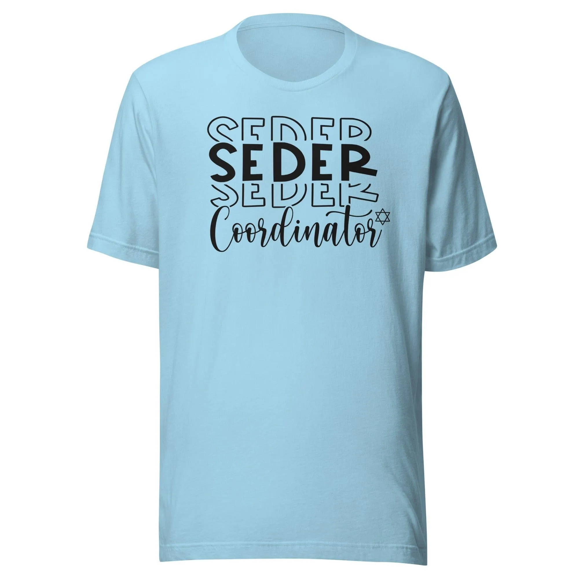 Seasonal T-shirt Passover Seder Coordinator DTG Short Sleeve Crew Neck Top