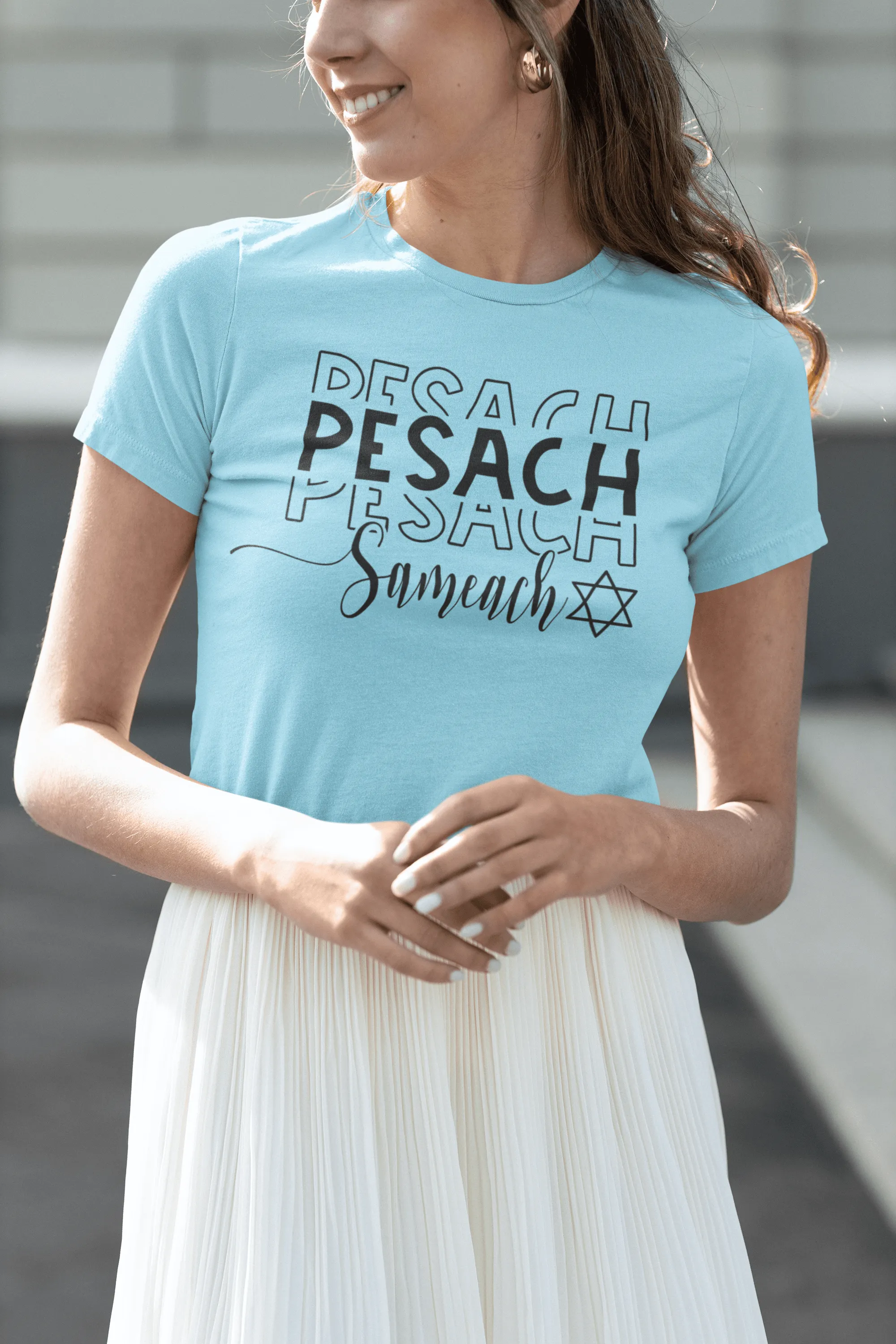 Seasonal T-shirt Passover Seder Coordinator DTG Short Sleeve Crew Neck Top